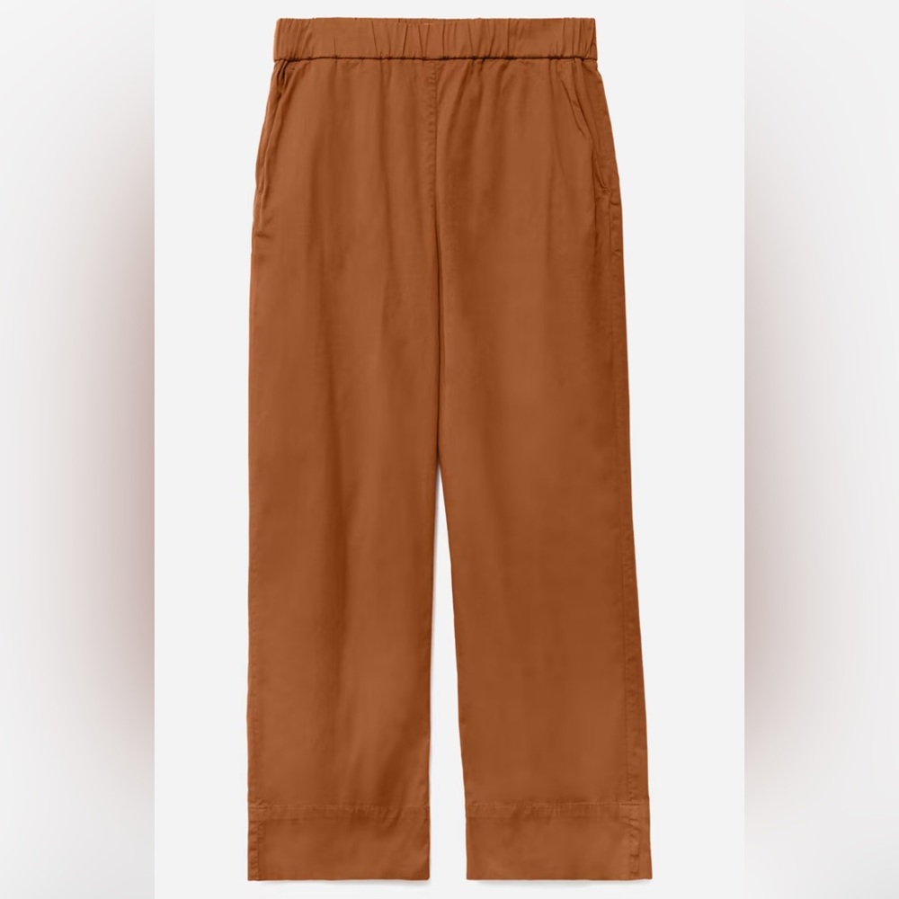 Rust-colored Everlane trousers. Size 6